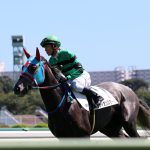 GF出資馬の近況 2024/10/11