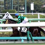 9/15中山7R：サミアドは馬混みに怯んで13着