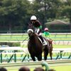 9/28中山5R：オブシディアーナは競馬を怖がって14着