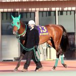 1/29大井・金盃：ローズボウルは自分の競馬に徹して10着